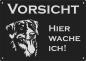 Preview: Aluminium Warnschild Appenzeller Sennenhund VORSICHT Hier wache ich!